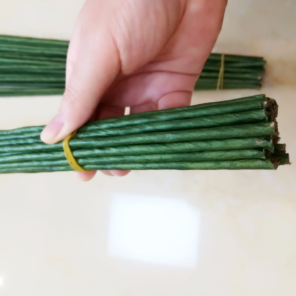 ลวดสีเขียวเข้มขนาด 1 มม. 2/3/4 - Wire Stem Florist บทวิจารณ์และราคา